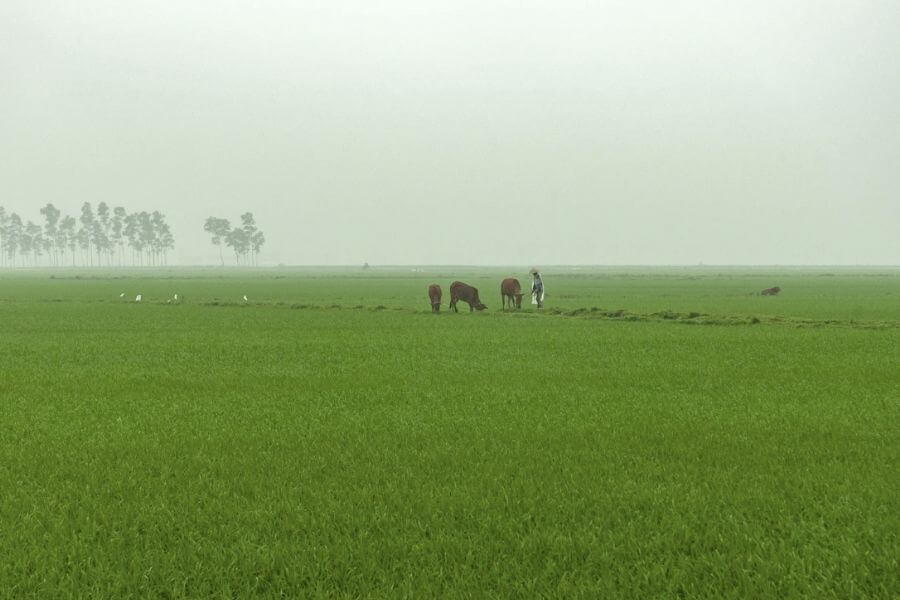 여름철 시골집 관리에서 특히 신경 써야 할 부분