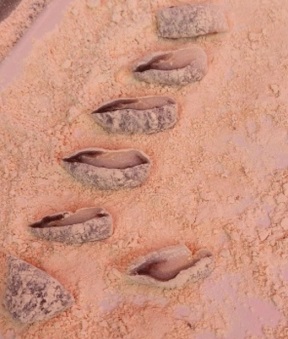 한국기행강아지떡