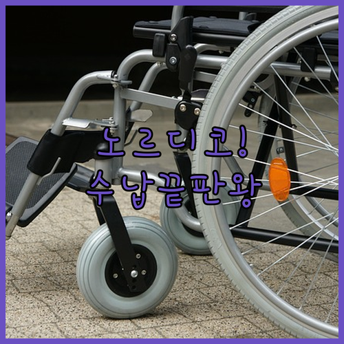 국산 유모차 보조 가방 노르디코 버기..