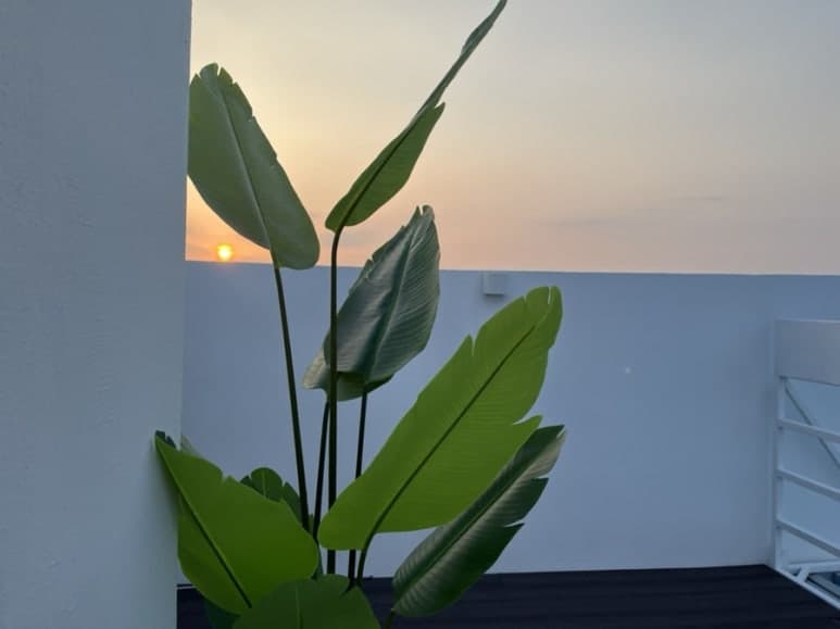 강릉 라미아까사 오션뷰 풀빌라 펜션