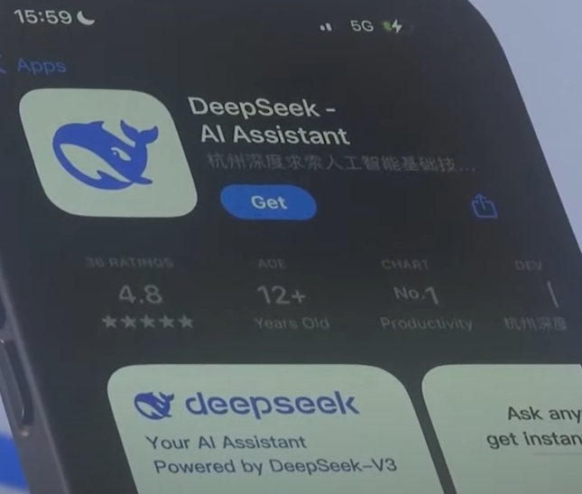 딥시크