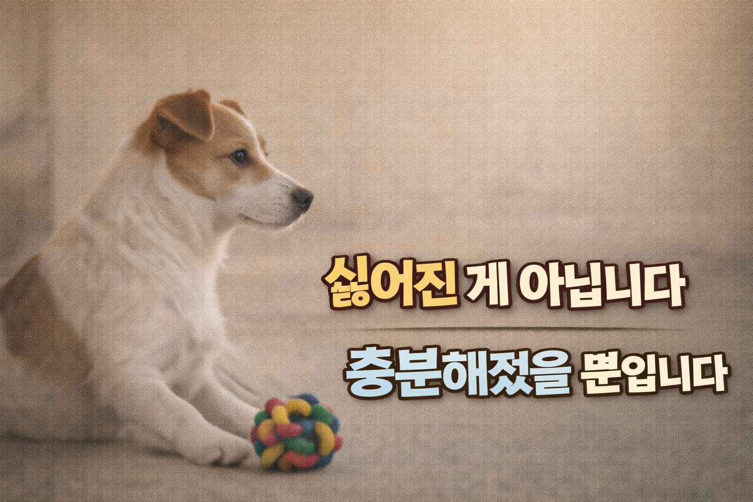 강아지가 놀이 중 갑자기 흥미를 잃는 이유 / 싫어진 게 아니라, 이미 충분하다는 신호일 수 있습니다