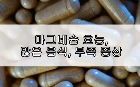 마그네슘 효능