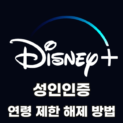 디즈니-플러스-성인인증