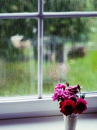 장마철 예상 기간