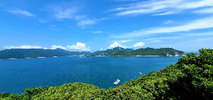 통영 가볼만한 곳 장사도해상공원까멜리아