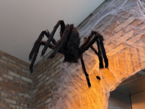 2025 부산수제맥주축제 포토존