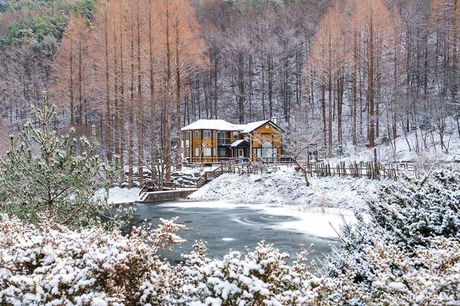 12월 가볼만한 곳 논산 온빛자연휴양림1