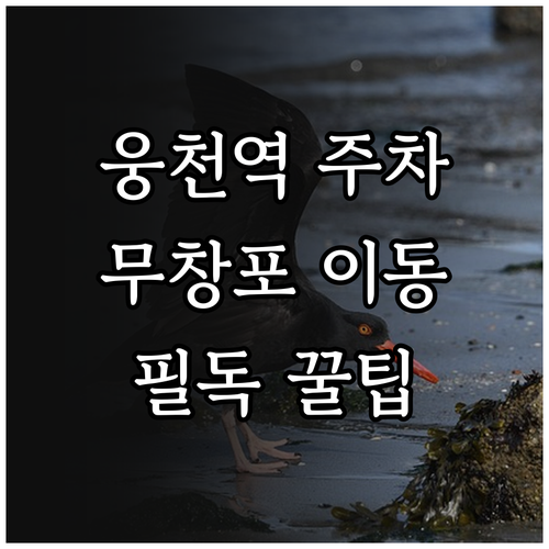웅천역 주차 시설 및 무창포 해수욕장..