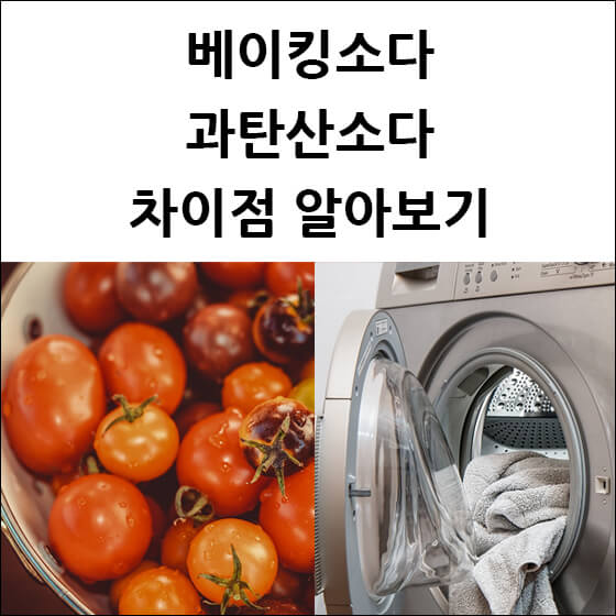 세척한 방울토마토와 빨래가 들어있는 세탁기