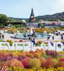 에버랜드 비밀의 은행나무숲 예약방법