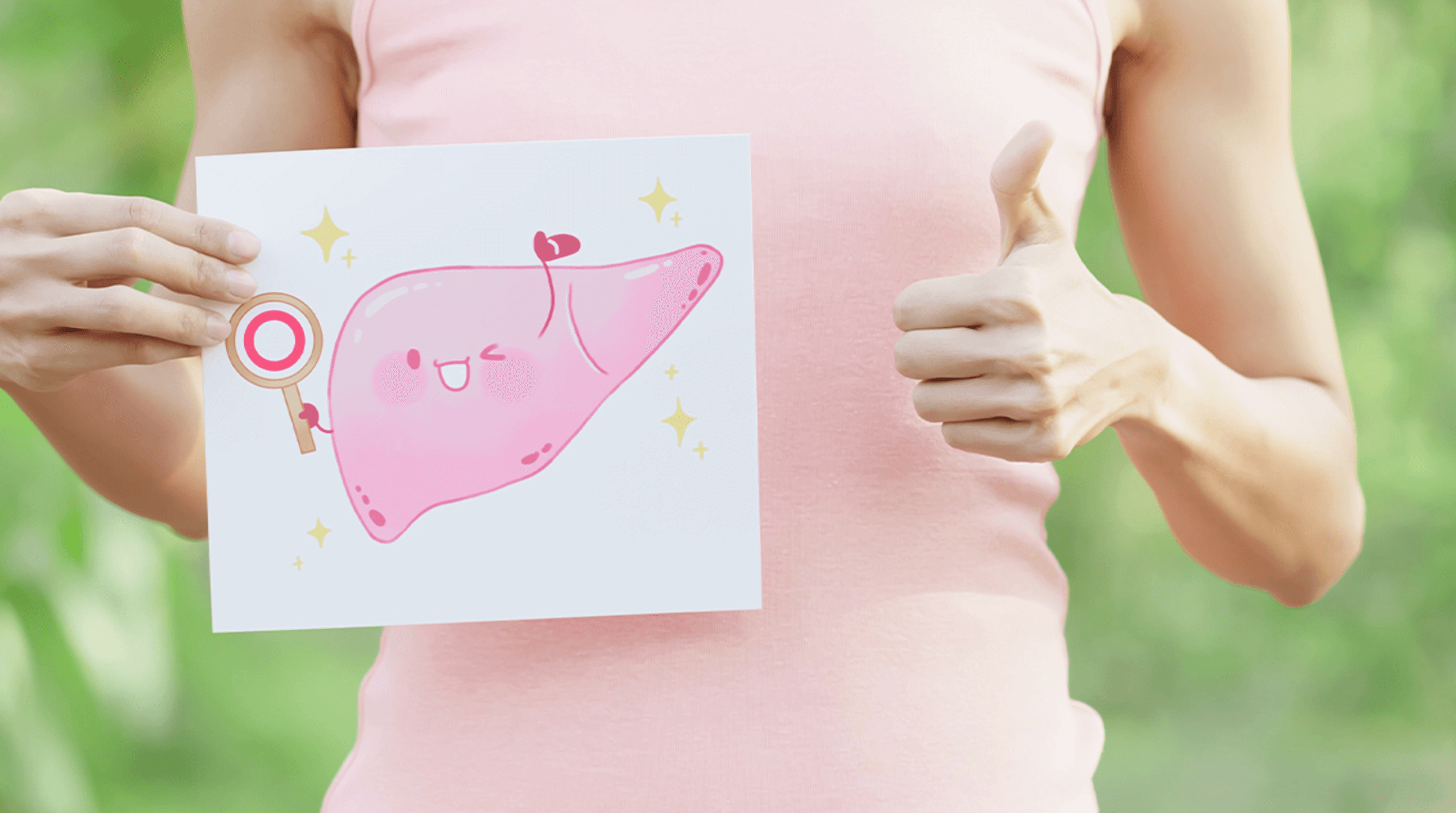 밀크시슬 간건강