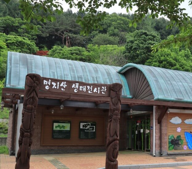 [여름휴가추천]경기도에서 꼭 가봐야 할 여름 계곡 추천 Best 6