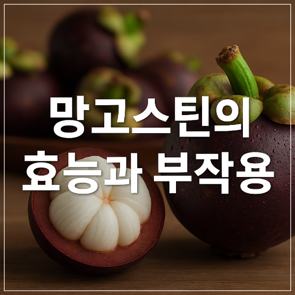 망고스틴의 효능과 부작용