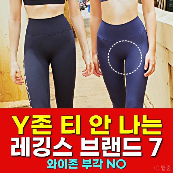 레깅스 추천 안다르 y존 와이존