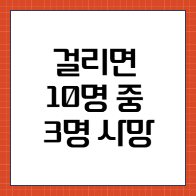 작은빨간집모기