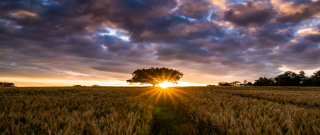 청년도약계좌 은행별 금리