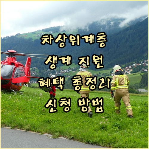 차상위계층 생계 지원: 의료, 교육,..