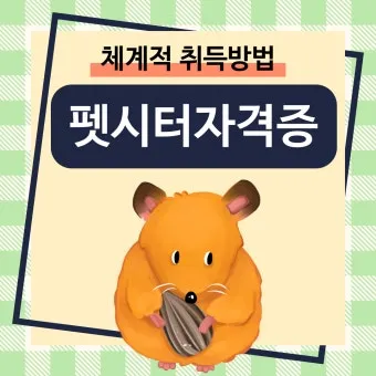 펫시터자격 교육과정 활동영역 창업준비 시니어 돌봄 일거리 찾기_10