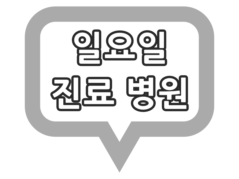 일요일 진료 병원