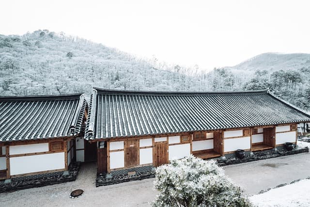 자연과 건축의 조화, 한옥에서 찾은 지속 가능성