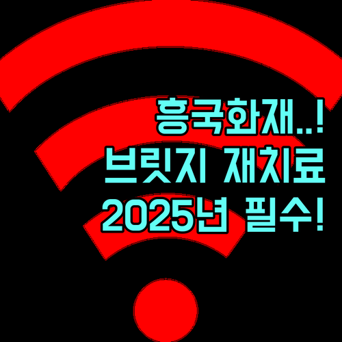 2025년 흥국화재 브릿지 보철 재치..