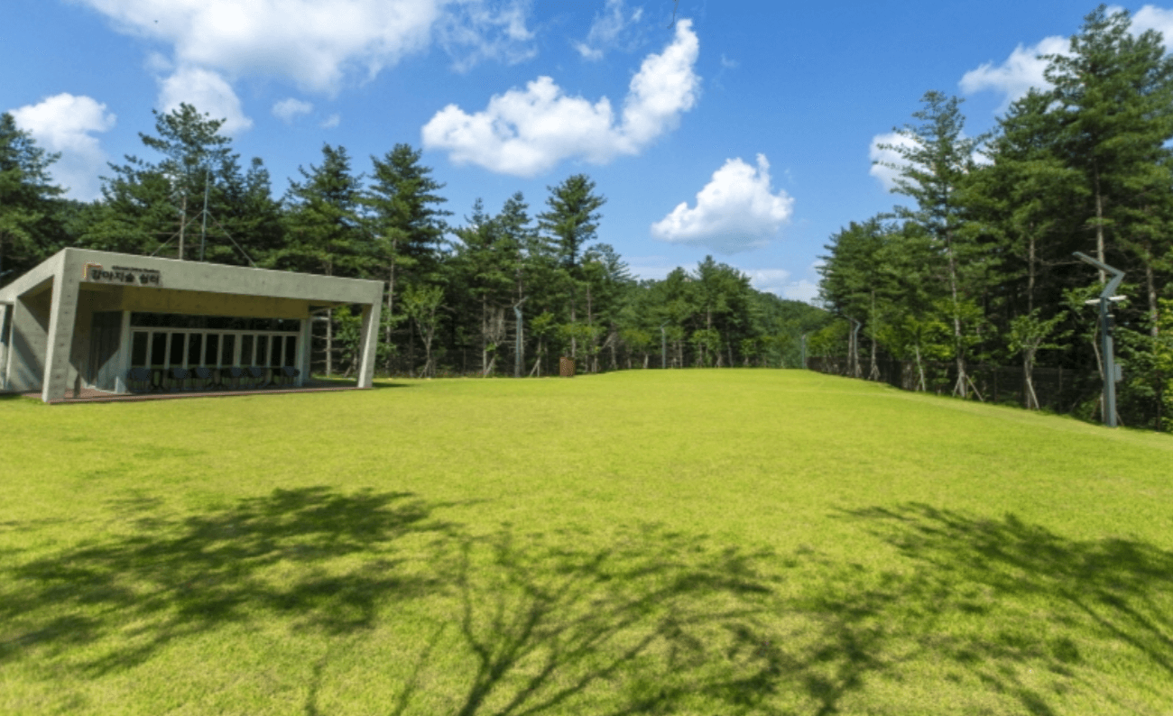 강원도 겨울 반려동물 애견 동반 여행지 추천