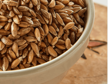 혈당_GI지수_낮은_ 쌀