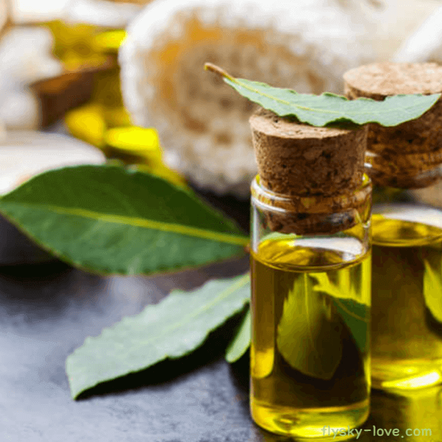 베이로렐 (Bay Laurel), 베이로렐 오일