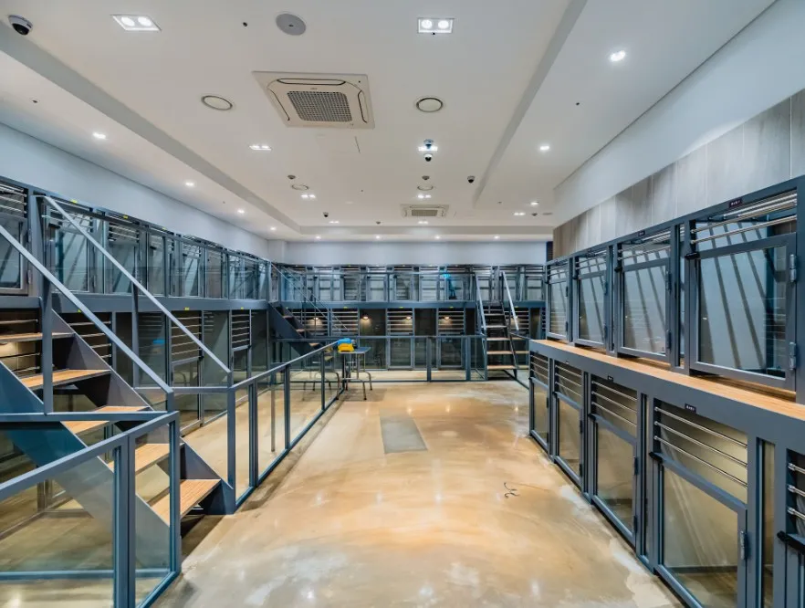 춘천 강아지숲 당일치기 반려견