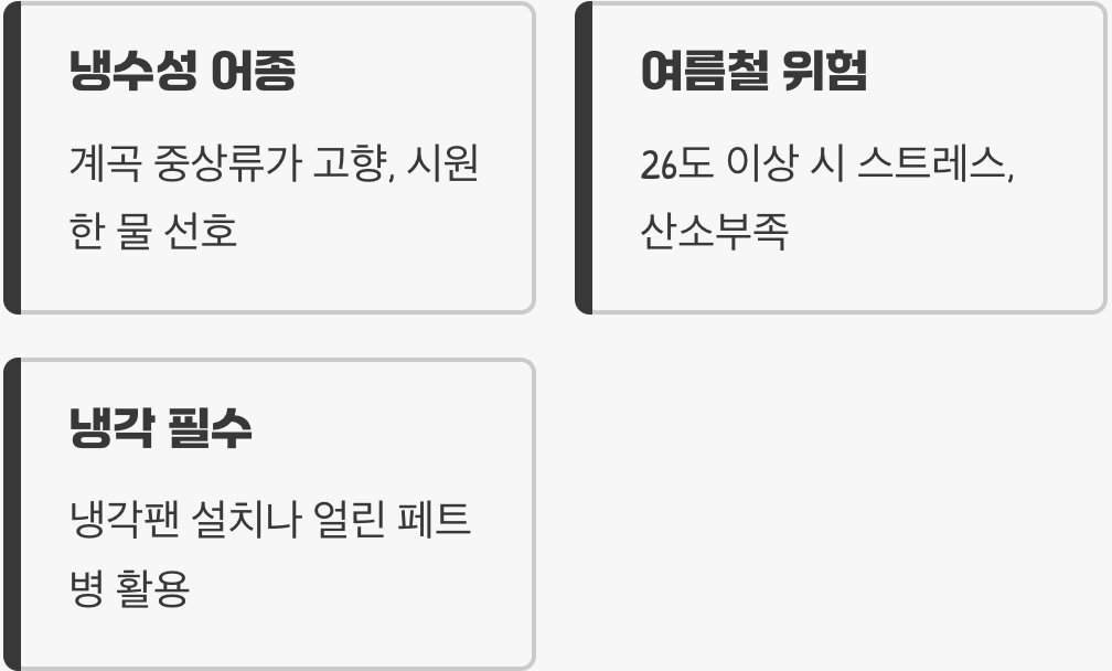 실수 둘 : 시원한 계곡 물을 잊어버리는 것