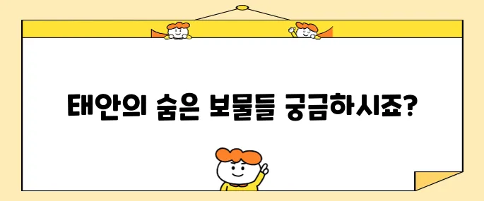 태안에서 꼭 가봐야 할 명소 10곳