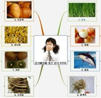 감기에 좋은 음식 5가지 자연에서 찾은 면역력 보약 건강식품_11