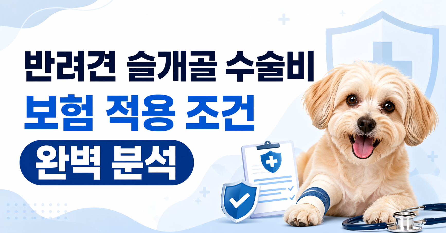 슬개골 수술비