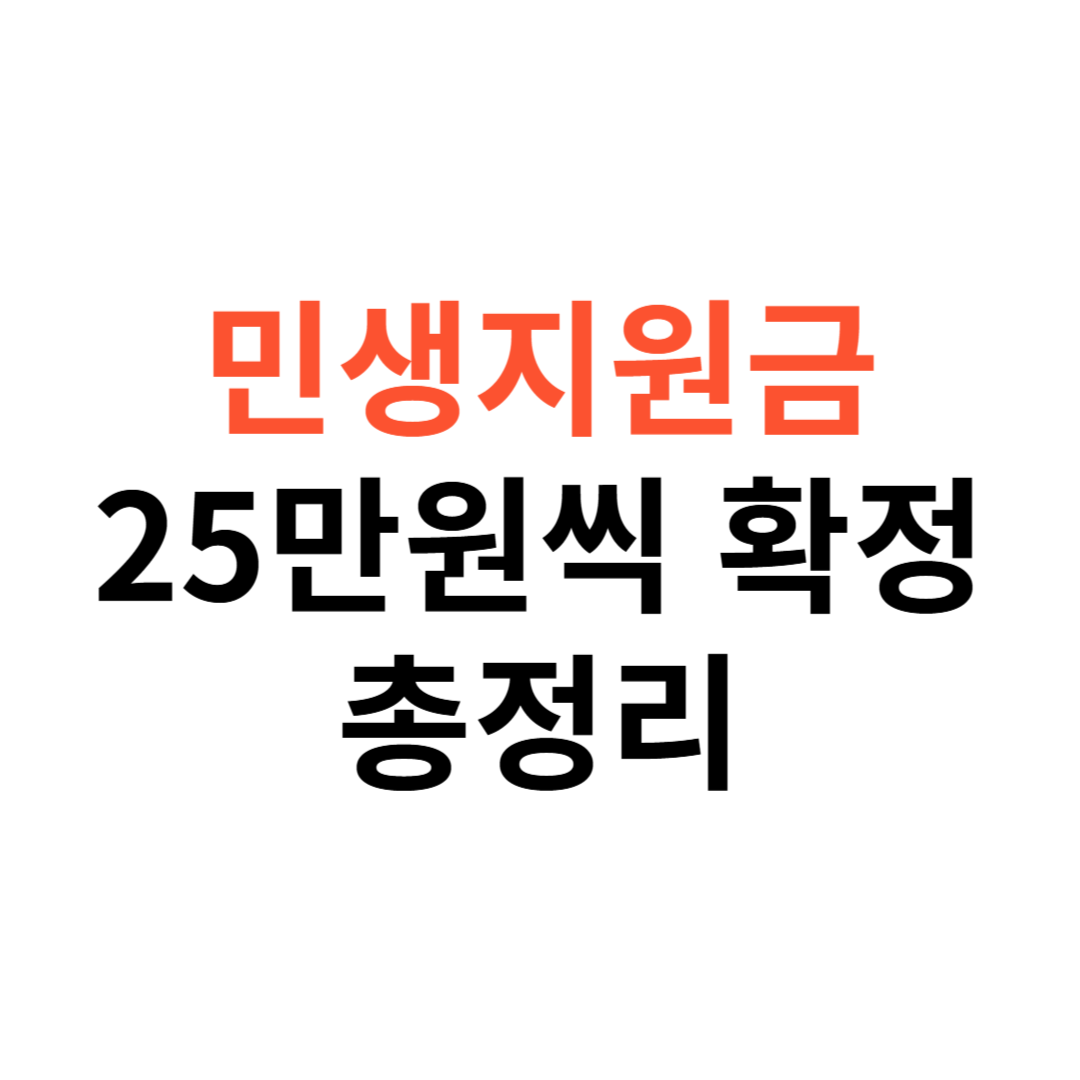 25만원 민생지원금