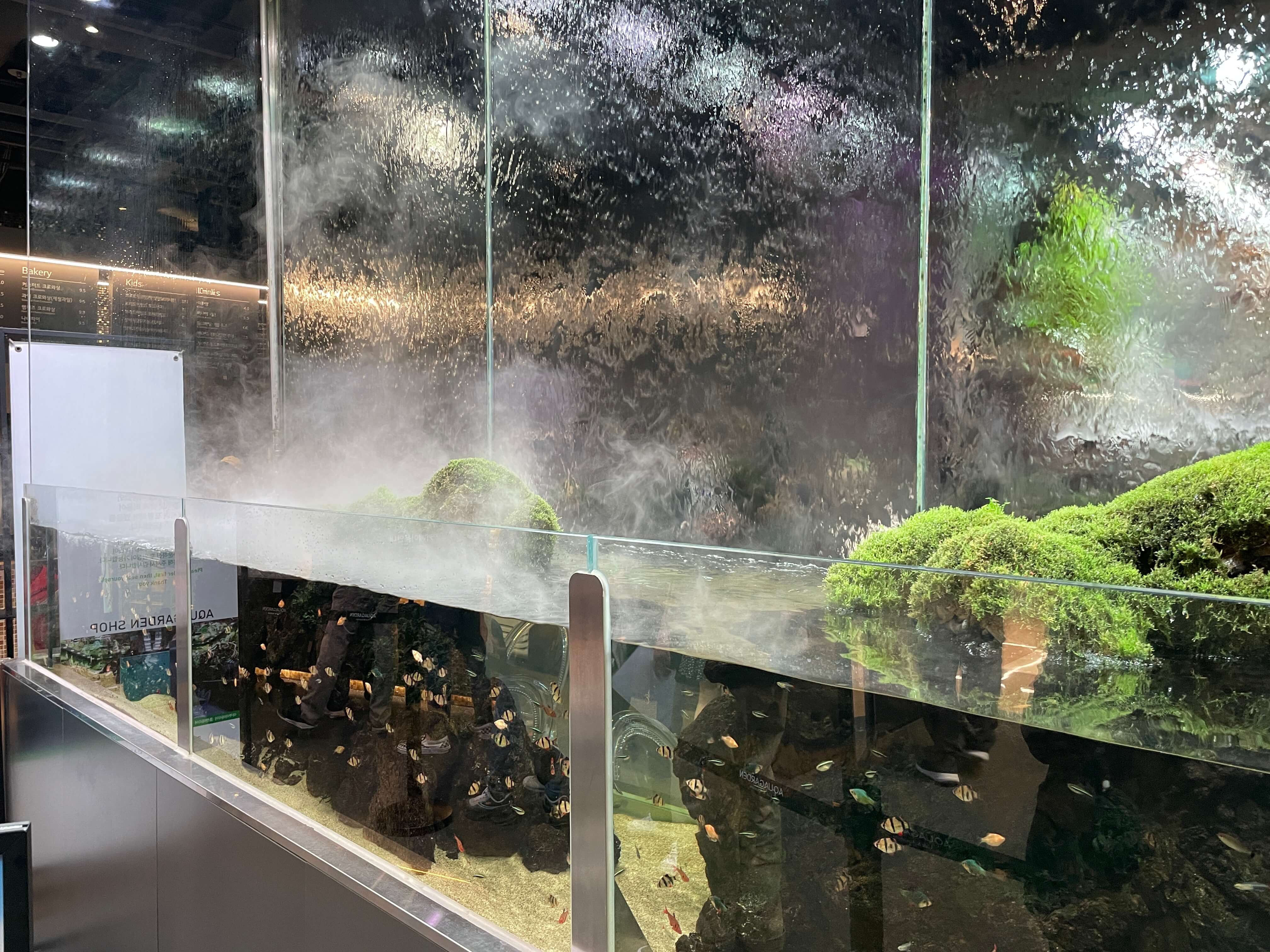 잠심-아쿠아가든