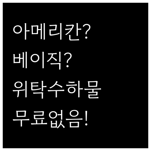 아메리칸항공 베이직 이코노미, 위탁수..