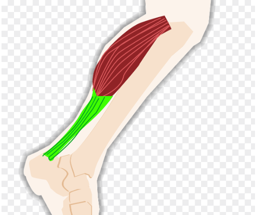 따뜻한 찜질로 근육 이완