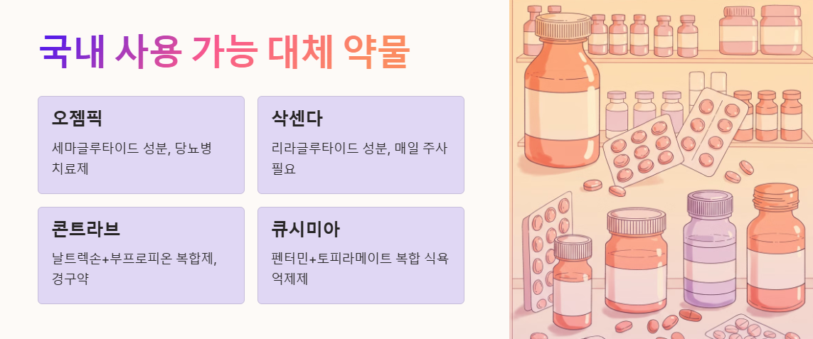 국내에서 사용 가능한 대체 약물 정보