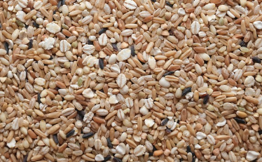 마그네슘 효능 및 부작용 알아보기(눈밑 덜덜 떨림, 찌릿 다리 쥐)