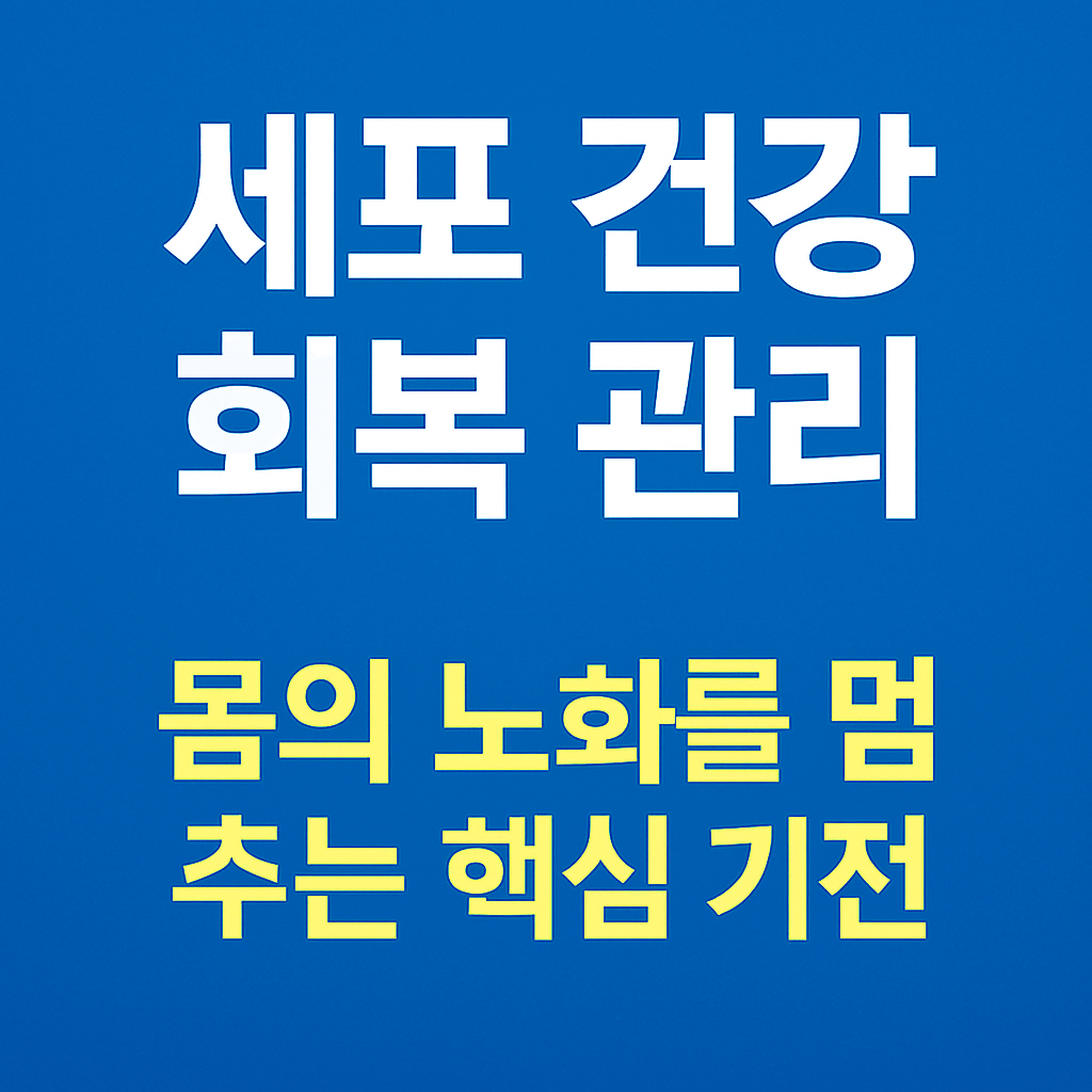 세포 건강 회복 관리
