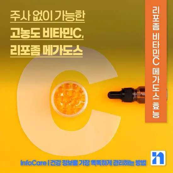 리포좀 비타민C 메가도스 효능