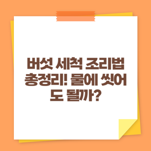 버섯 세척 조리법 총정리! 물에 씻어도 될까