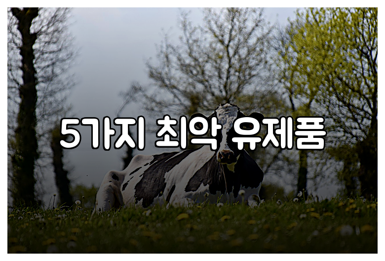 5가지 최악 유제품