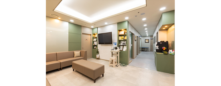 안양 동안구 항문외과