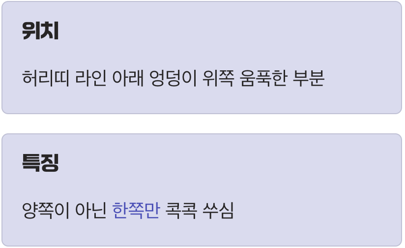 1. 허리띠 라인 아래, 엉덩이 한쪽의 콕콕 쑤시는 통증