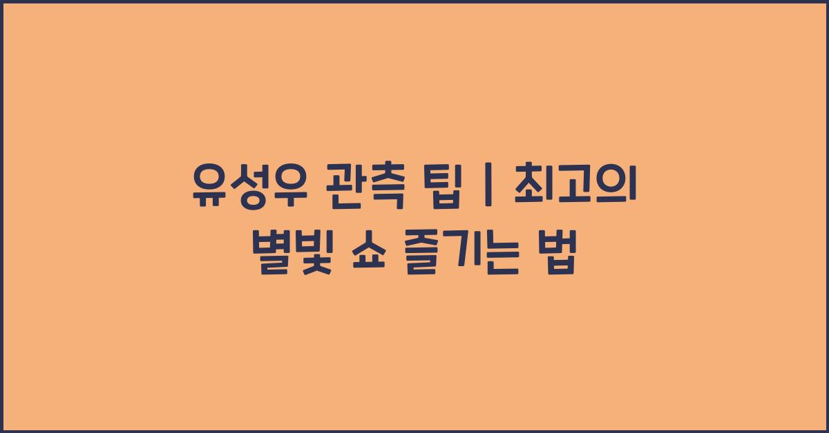 유성우 관측 팁