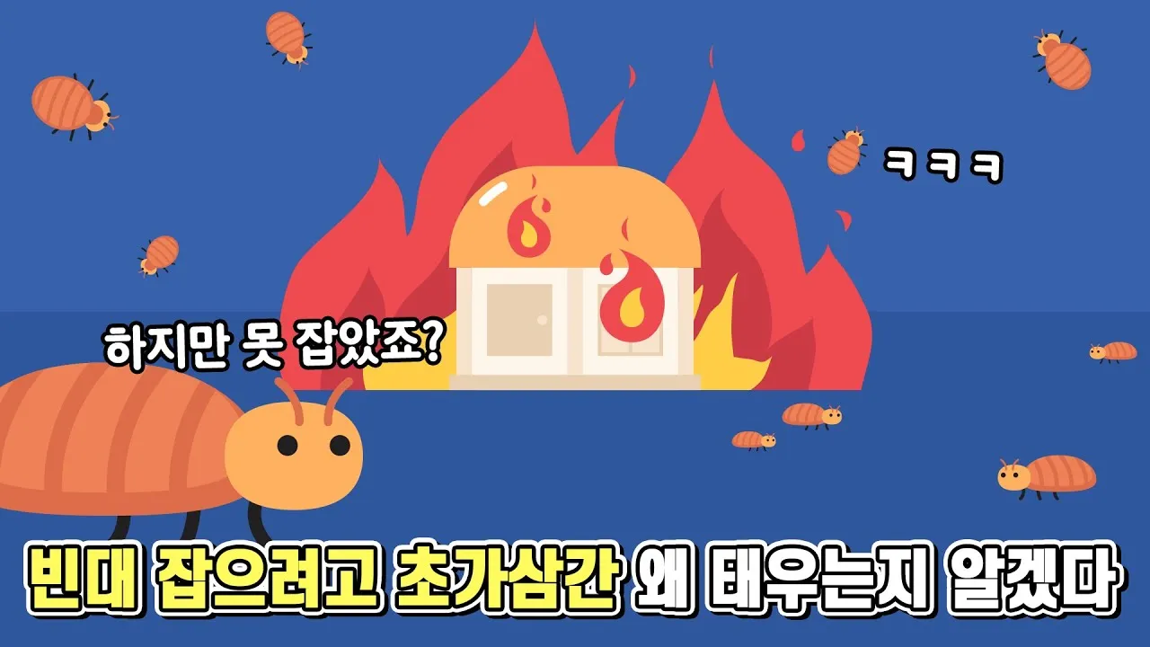 속담 빈대 잡으려고 초가삼간 태운다 의미와 예시_3
