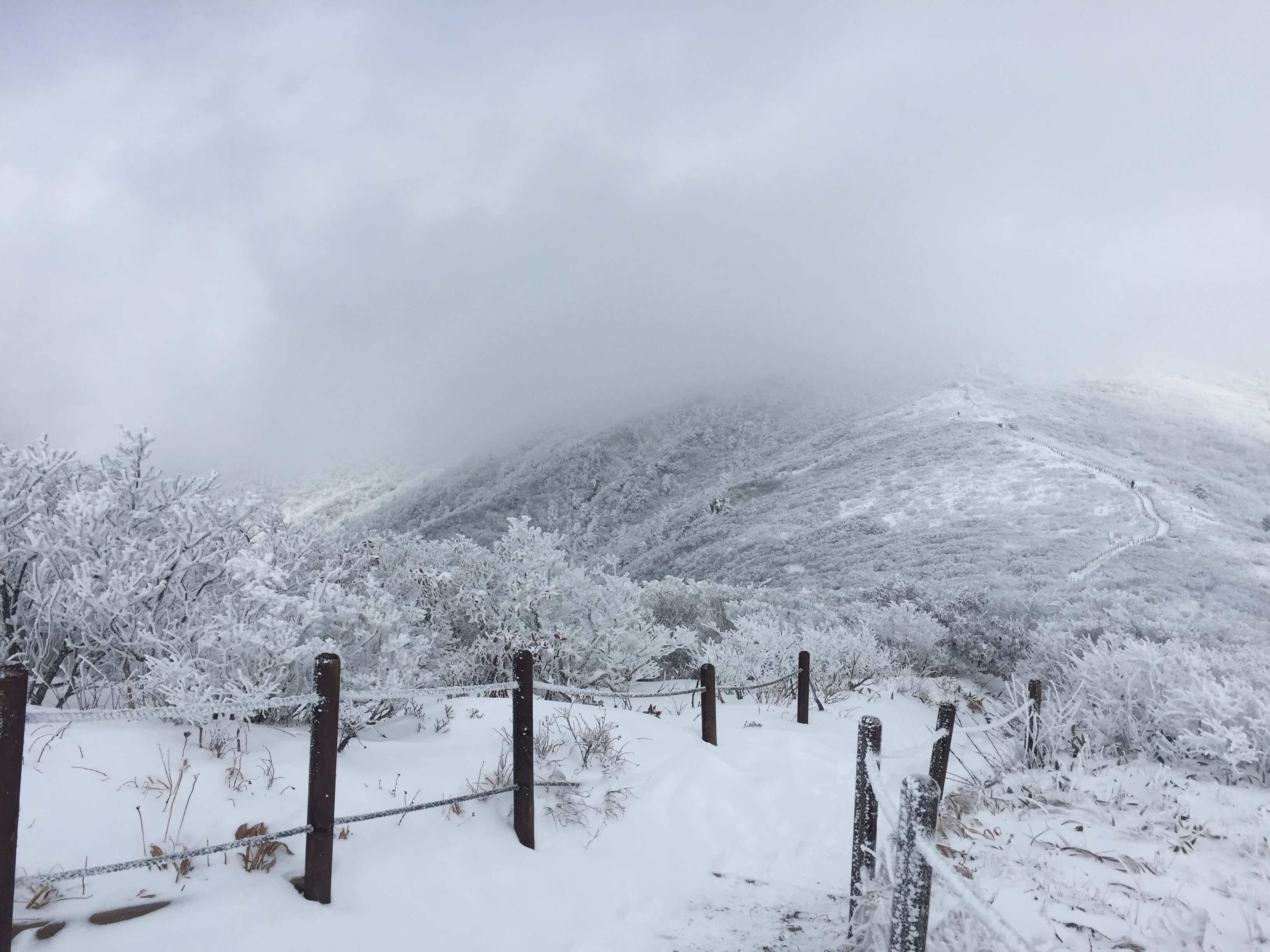 국내겨울여행지