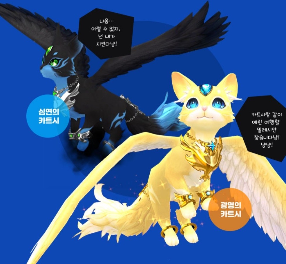 심연의 카트시와 광명의 카트시